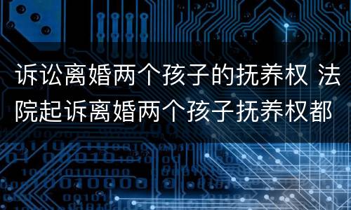 诉讼离婚两个孩子的抚养权 法院起诉离婚两个孩子抚养权都判给谁