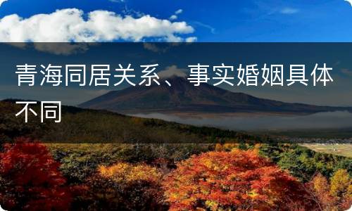 青海同居关系、事实婚姻具体不同