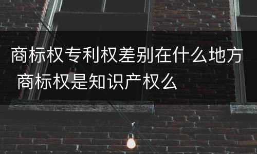 商标权专利权差别在什么地方 商标权是知识产权么