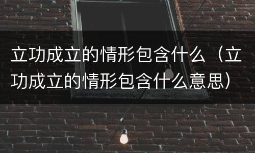 立功成立的情形包含什么（立功成立的情形包含什么意思）