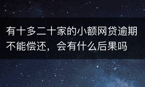 有十多二十家的小额网贷逾期不能偿还，会有什么后果吗