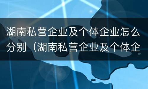 湖南私营企业及个体企业怎么分别（湖南私营企业及个体企业怎么分别的）