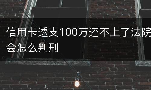 信用卡透支100万还不上了法院会怎么判刑