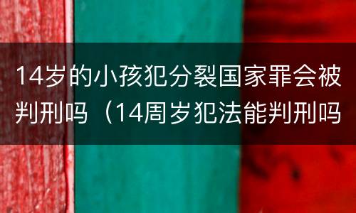 14岁的小孩犯分裂国家罪会被判刑吗（14周岁犯法能判刑吗）