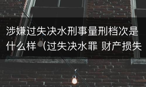 涉嫌过失决水刑事量刑档次是什么样（过失决水罪 财产损失标准）