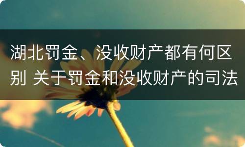 湖北罚金、没收财产都有何区别 关于罚金和没收财产的司法解释