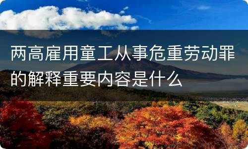 两高雇用童工从事危重劳动罪的解释重要内容是什么