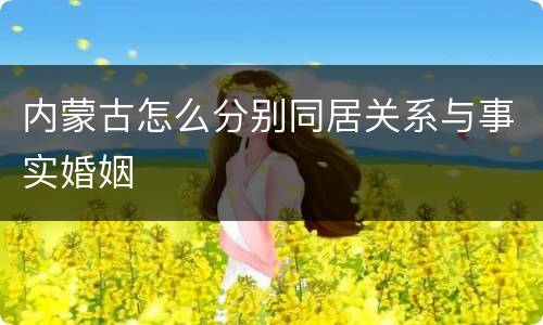 内蒙古怎么分别同居关系与事实婚姻