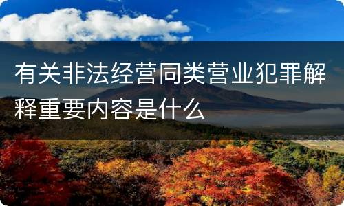 有关非法经营同类营业犯罪解释重要内容是什么