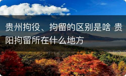 贵州拘役、拘留的区别是啥 贵阳拘留所在什么地方