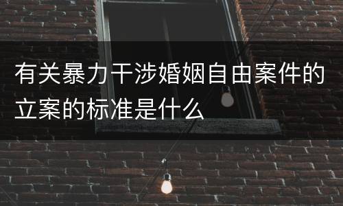 有关暴力干涉婚姻自由案件的立案的标准是什么