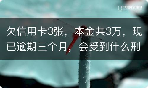 欠信用卡3张，本金共3万，现已逾期三个月，会受到什么刑罚