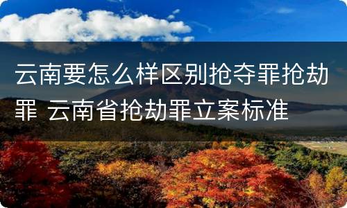 云南要怎么样区别抢夺罪抢劫罪 云南省抢劫罪立案标准