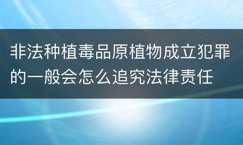 非法种植毒品原植物成立犯罪的一般会怎么追究法律责任