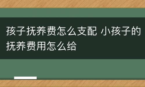 孩子抚养费怎么支配 小孩子的抚养费用怎么给