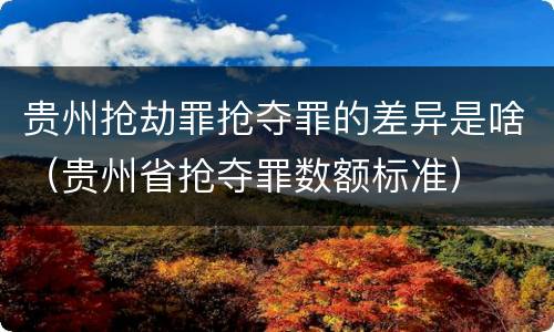 贵州抢劫罪抢夺罪的差异是啥（贵州省抢夺罪数额标准）