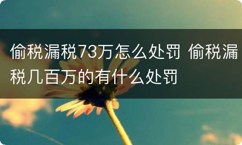 偷税漏税73万怎么处罚 偷税漏税几百万的有什么处罚