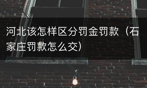 河北该怎样区分罚金罚款（石家庄罚款怎么交）