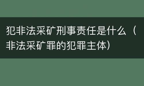 犯非法采矿刑事责任是什么（非法采矿罪的犯罪主体）