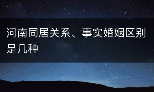 河南同居关系、事实婚姻区别是几种