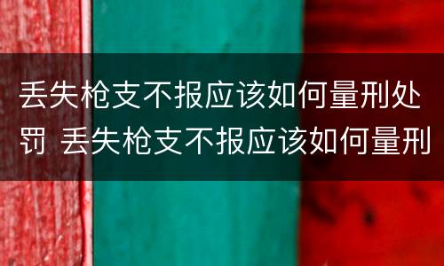 丢失枪支不报应该如何量刑处罚 丢失枪支不报应该如何量刑处罚决定书