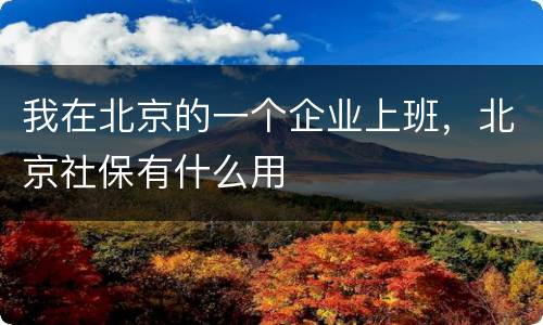 我在北京的一个企业上班，北京社保有什么用