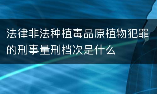 法律非法种植毒品原植物犯罪的刑事量刑档次是什么