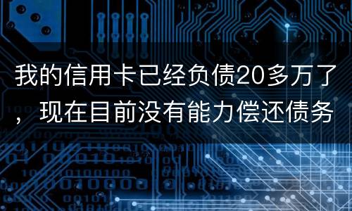 我的信用卡已经负债20多万了，现在目前没有能力偿还债务，请问可以申请破产吗