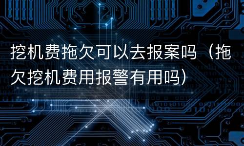 挖机费拖欠可以去报案吗（拖欠挖机费用报警有用吗）