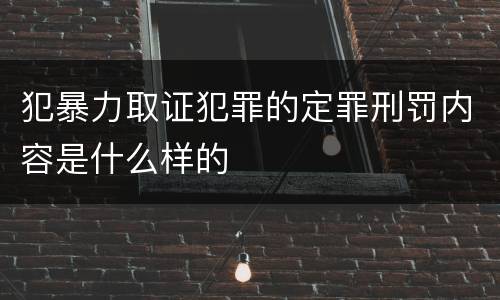 犯暴力取证犯罪的定罪刑罚内容是什么样的