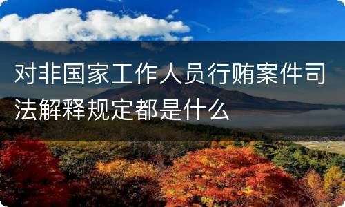 对非国家工作人员行贿案件司法解释规定都是什么