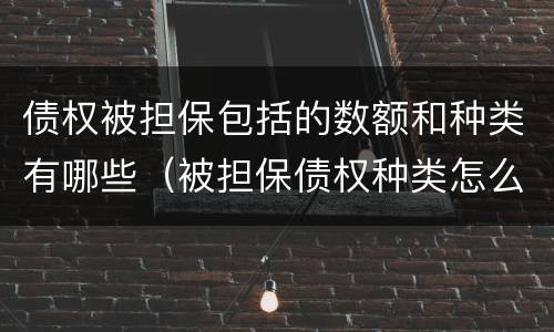 债权被担保包括的数额和种类有哪些（被担保债权种类怎么写）