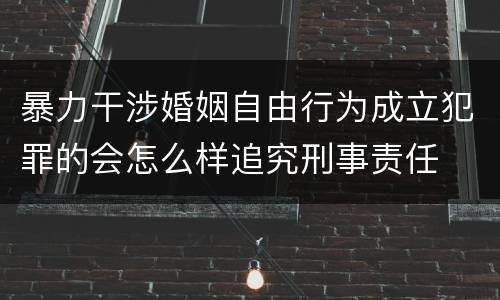 暴力干涉婚姻自由行为成立犯罪的会怎么样追究刑事责任