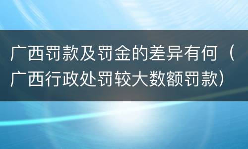 广西罚款及罚金的差异有何（广西行政处罚较大数额罚款）