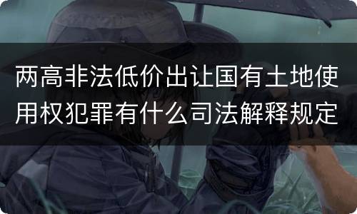 两高非法低价出让国有土地使用权犯罪有什么司法解释规定