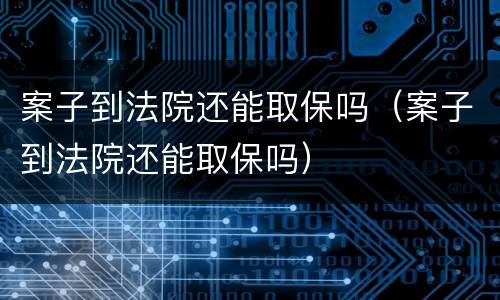 案子到法院还能取保吗（案子到法院还能取保吗）