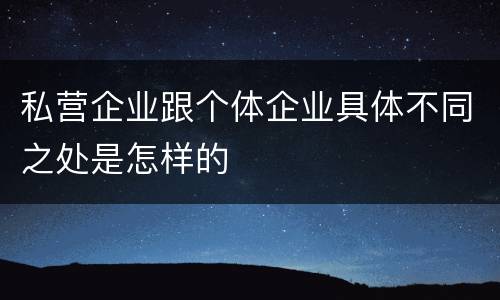 私营企业跟个体企业具体不同之处是怎样的