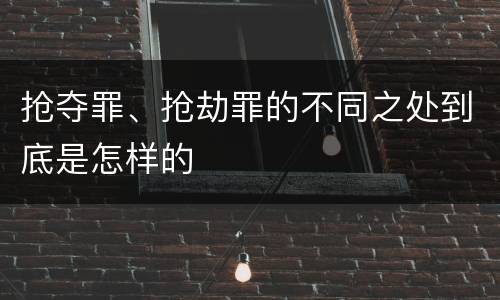 抢夺罪、抢劫罪的不同之处到底是怎样的