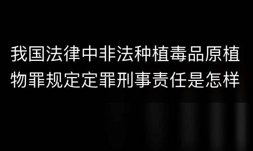 我国法律中非法种植毒品原植物罪规定定罪刑事责任是怎样