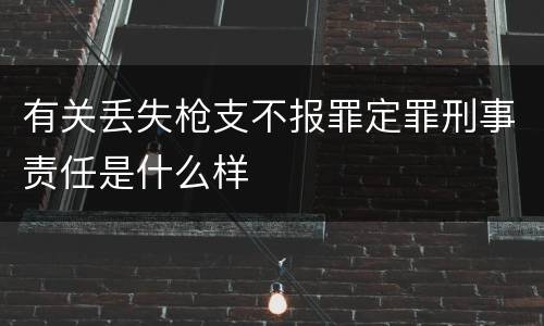 有关丢失枪支不报罪定罪刑事责任是什么样