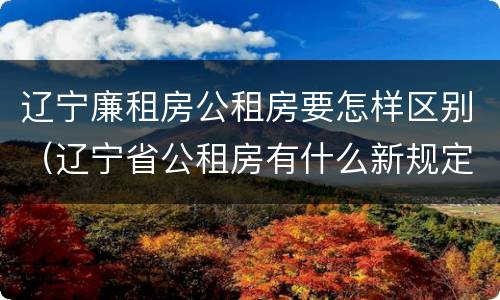 辽宁廉租房公租房要怎样区别（辽宁省公租房有什么新规定）