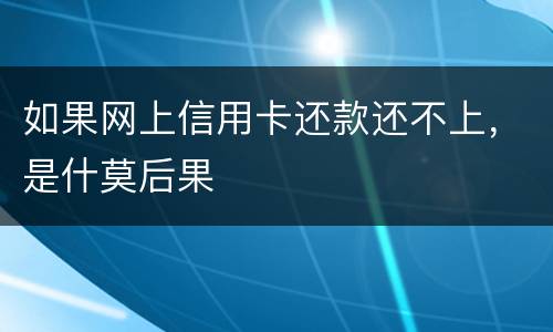 如果网上信用卡还款还不上，是什莫后果