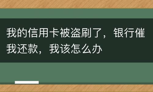 我的信用卡被盗刷了，银行催我还款，我该怎么办