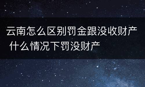 云南怎么区别罚金跟没收财产 什么情况下罚没财产