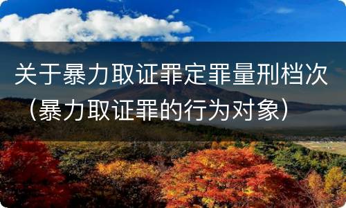 关于暴力取证罪定罪量刑档次（暴力取证罪的行为对象）