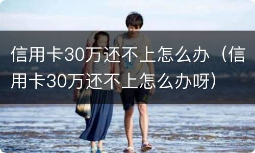 信用卡30万还不上怎么办（信用卡30万还不上怎么办呀）