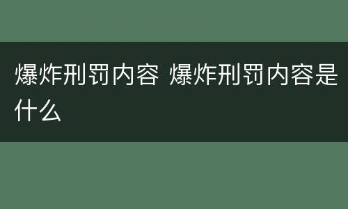 爆炸刑罚内容 爆炸刑罚内容是什么