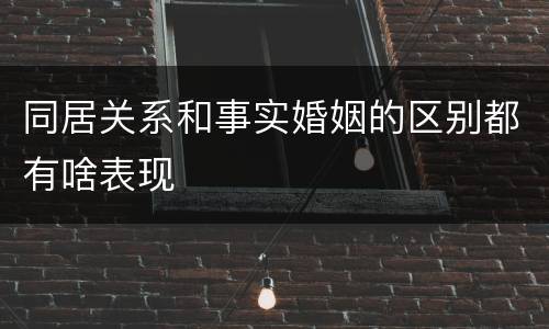 同居关系和事实婚姻的区别都有啥表现