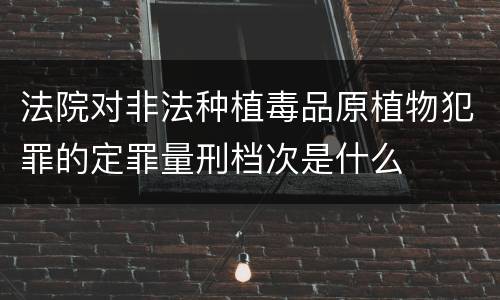 法院对非法种植毒品原植物犯罪的定罪量刑档次是什么