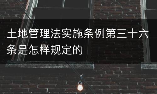 土地管理法实施条例第三十六条是怎样规定的